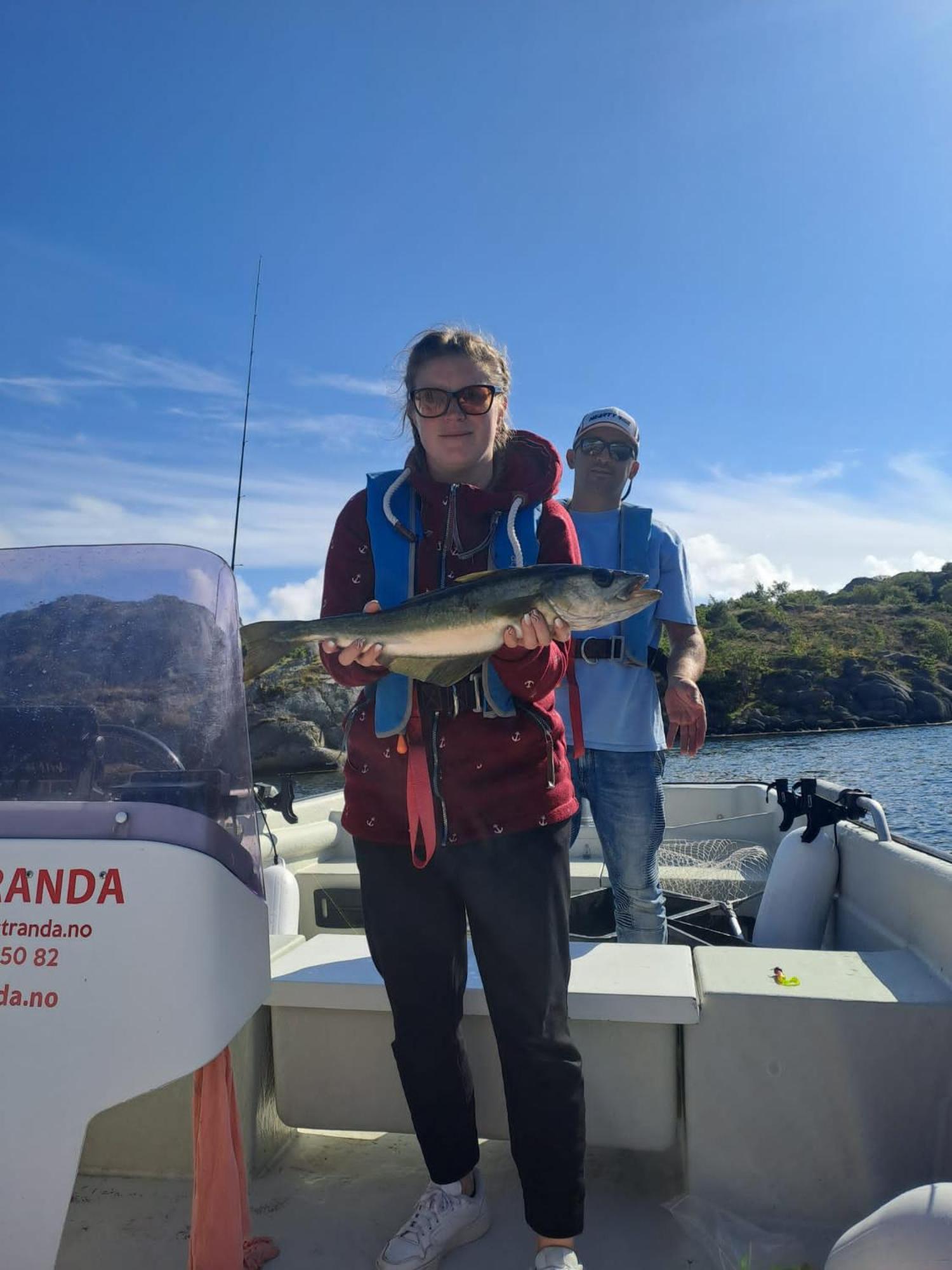Hausvikstranda Lyngdal Dış mekan fotoğraf